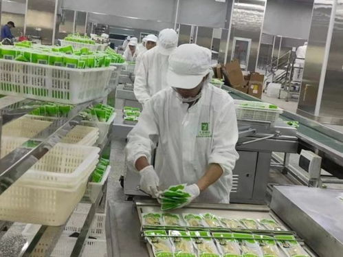 云南永善七彩食品投產(chǎn)運(yùn)營(yíng)獲《中國(guó)食品安全報(bào)》關(guān)注 食品安全與特色經(jīng)營(yíng)的雙贏之路