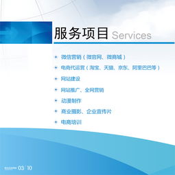 萊西網站建設、推廣與關鍵詞優化——一站式網絡營銷解決方案
