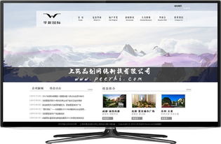 上海品劃網(wǎng)絡 專業(yè)松江網(wǎng)站建設與移動應用服務