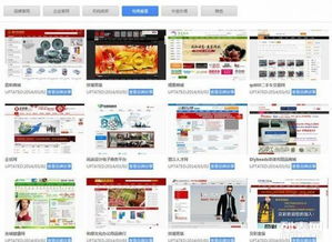 大泉州地區網站建設與網店開設 5000+成功案例，助力企業數字化升級