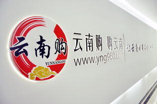 云南購(gòu)，購(gòu)云南 奧遠(yuǎn)科技助力云南商品與品牌走向世界